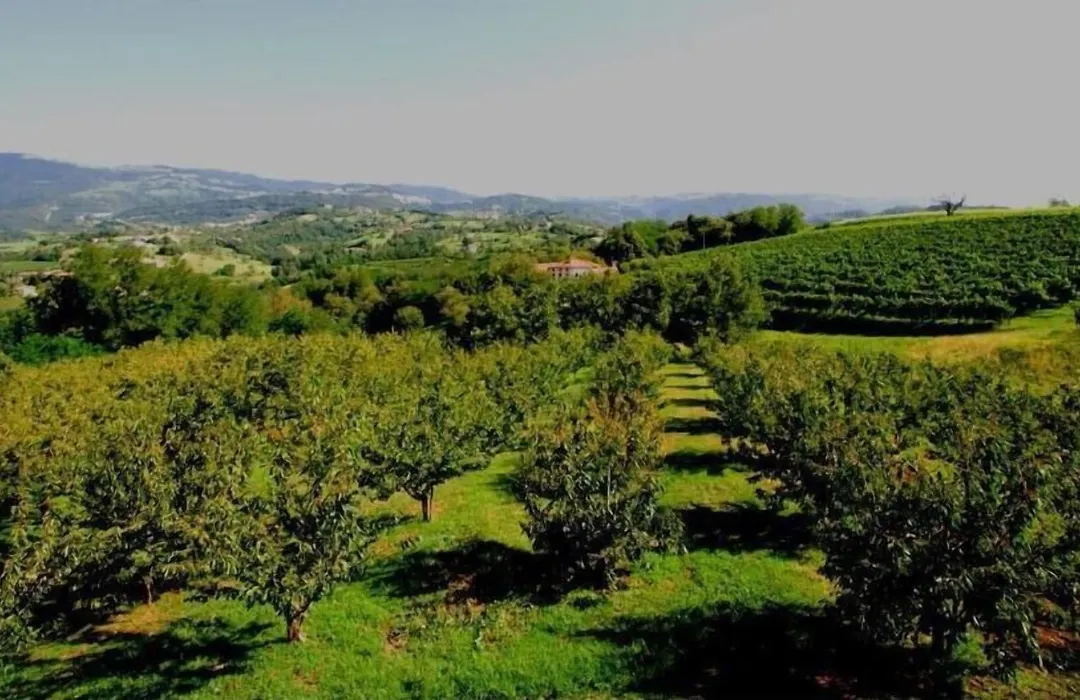 Tenuta Fortelongo-1